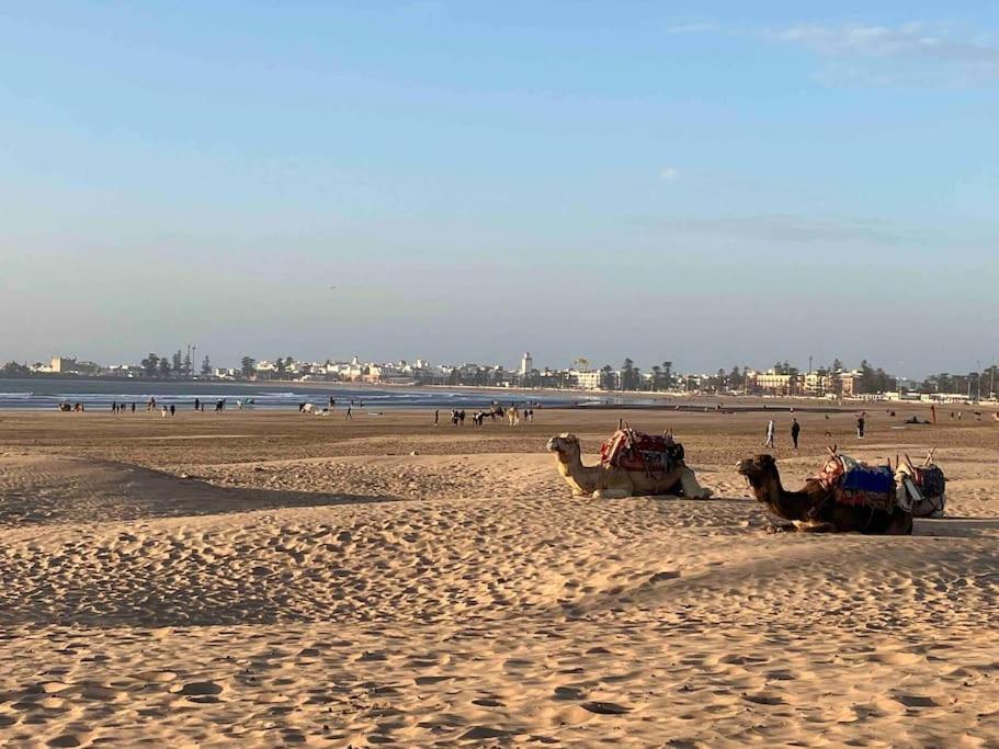 Dar Aya Essaouira Appartement Buitenkant foto